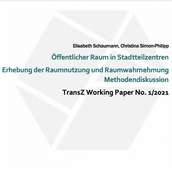 TransZ WorkingPaper No. 1/2021